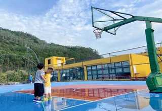 惠山区绿萝绿植零售厂家供货